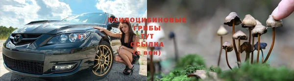 марки lsd Богородицк