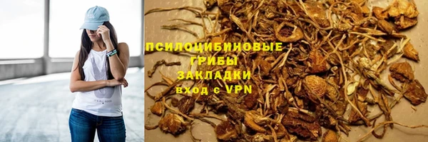 амф Богданович