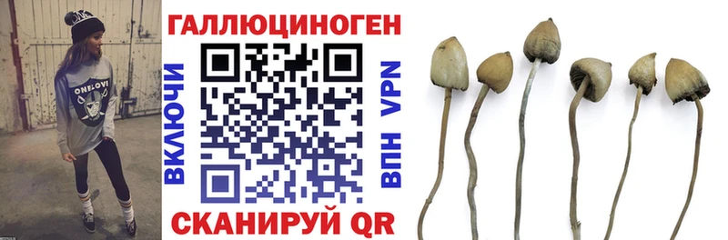 Галлюциногенные грибы мицелий  Купить где  Томари 